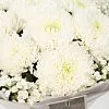 Букет № 545 с белой хризантемой — фото 10