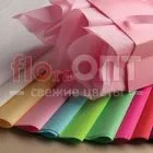 Хризантема крашеная Голубая — фото 7