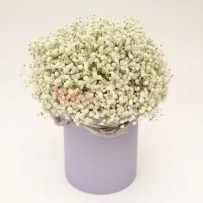 Композиция № 220 в коробке с гипсофилой  — фото 16