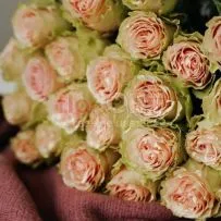 Роза Микс 60 см — фото 59