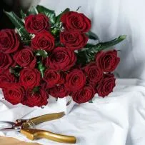 Букет № 555 из 19 красных роз  — фото 3