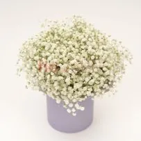 Композиция № 220 в коробке с гипсофилой  — фото 17