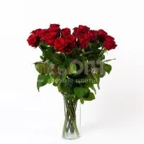 Роза Гран При 70 см — фото 17