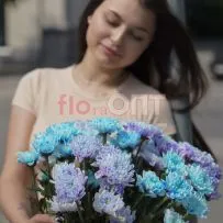 Хризантема крашеная Микс — фото 9