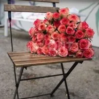 Роза Россия 50см — фото 13