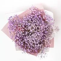 Букет 375 с крашеной гипсофилой  — фото 9