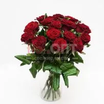 Роза Гран При 50 см — фото 23