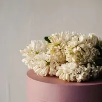 Гиацинт — фото 1