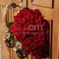 Роза Гран При 70 см — фото 28