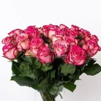 Роза Микс 70 см — фото 15