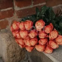 Роза Микс 60 см — фото 58