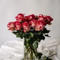 Роза Микс 50 см — фото 45