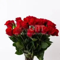 Роза Форевер 70см — фото 3