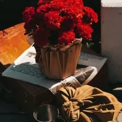 Композиция № 300 в аквабоксе с гвоздикой — фото 1