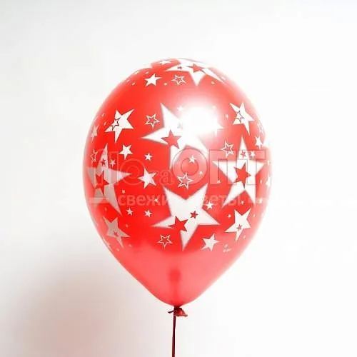Воздушный шар (1) — фото 4