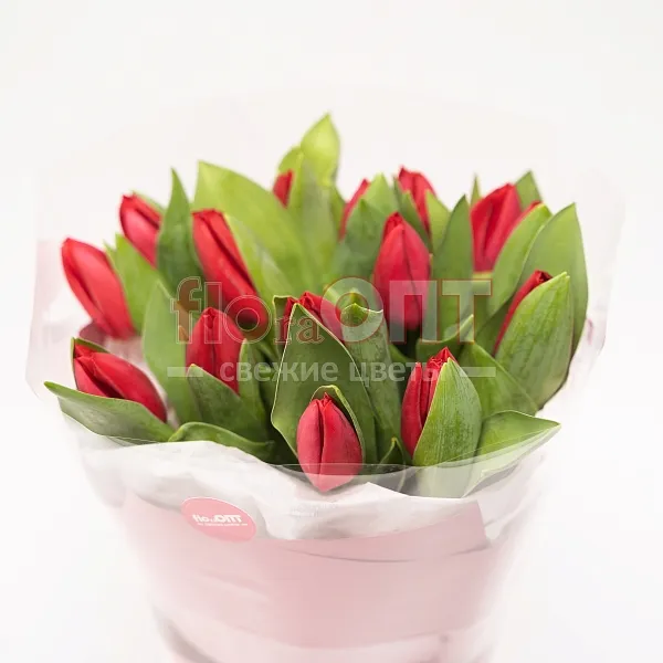Букет № 489 с красными тюльпанами  — фото 2
