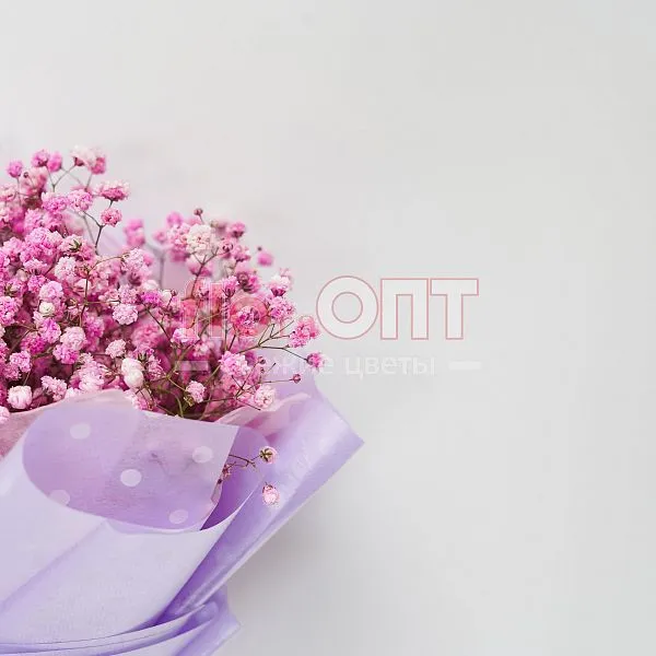 Букет № 374 с розовой гипсофилой  — фото 5