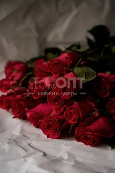 Роза Форевер 60см — фото 2