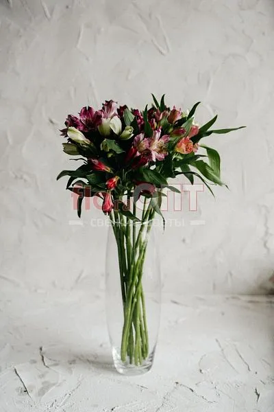 Альстромерия Люкс — фото 4