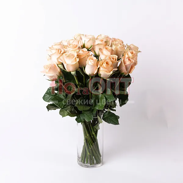 Роза Микс 60 см — фото 4