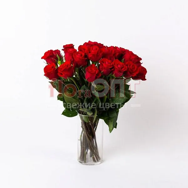 Роза Форевер 50см — фото 2