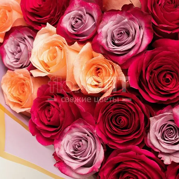 Букет № 550 из 75 эквадорских роз — фото 3