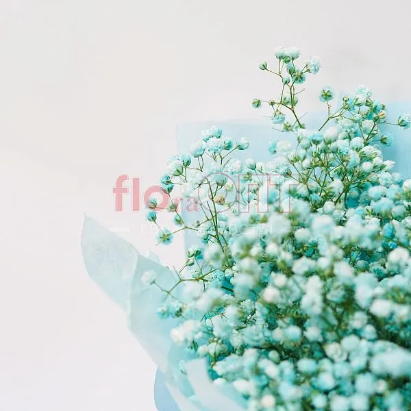 Букет № 372 с голубой гипсофилой  — фото 5