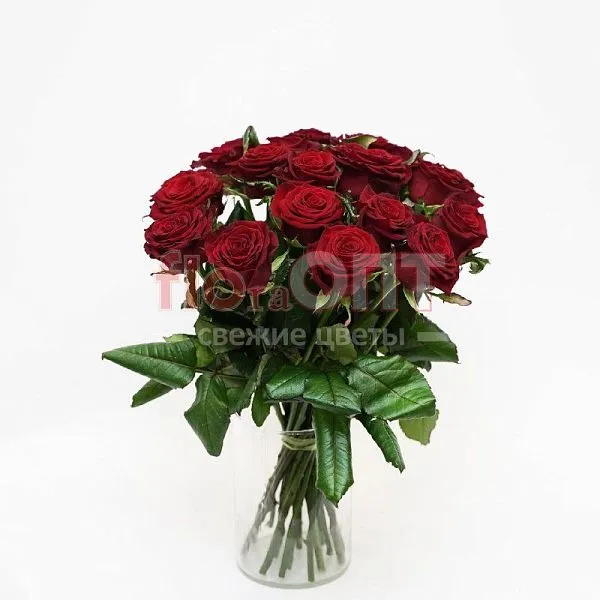 Роза Гран При 60 см — фото 2