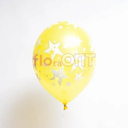 Воздушный шар (1) — фото 5