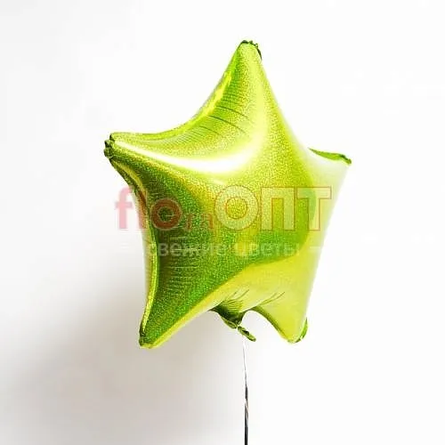 Воздушный шар (2) — фото 4