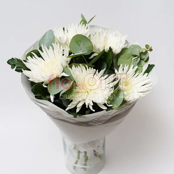 Букет № 468 из белых хризантем — фото 3