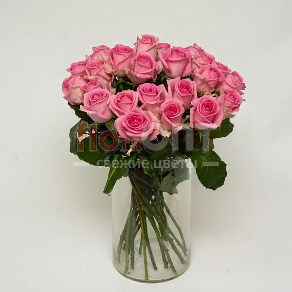 Роза Россия 50см — фото 2