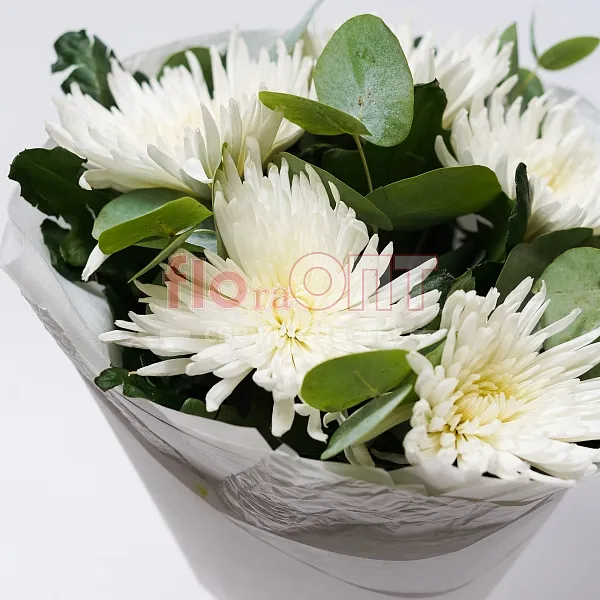 Букет № 468 из белых хризантем — фото 4