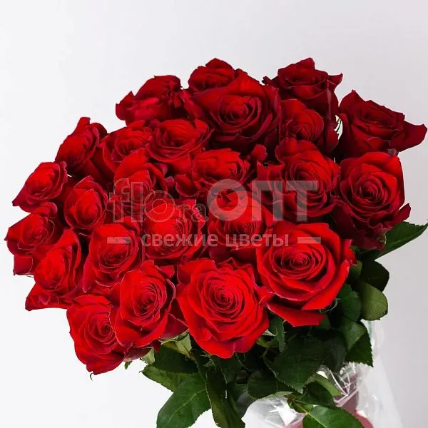 Роза Форевер 60см — фото 3