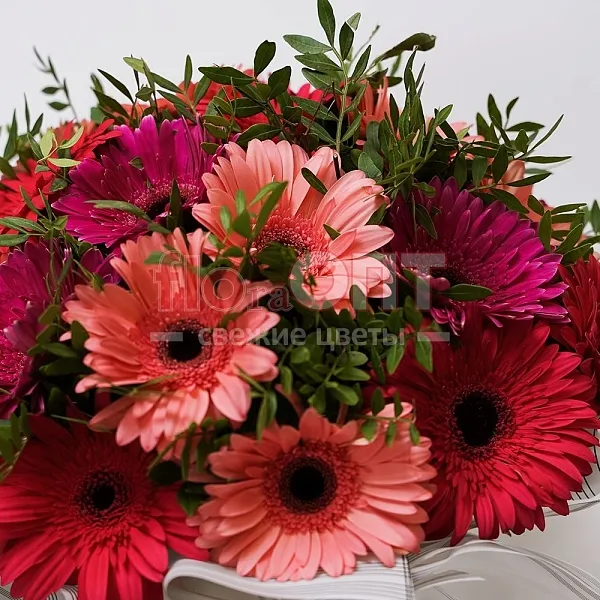 Букет № 269 из герберы и фисташки — фото 4