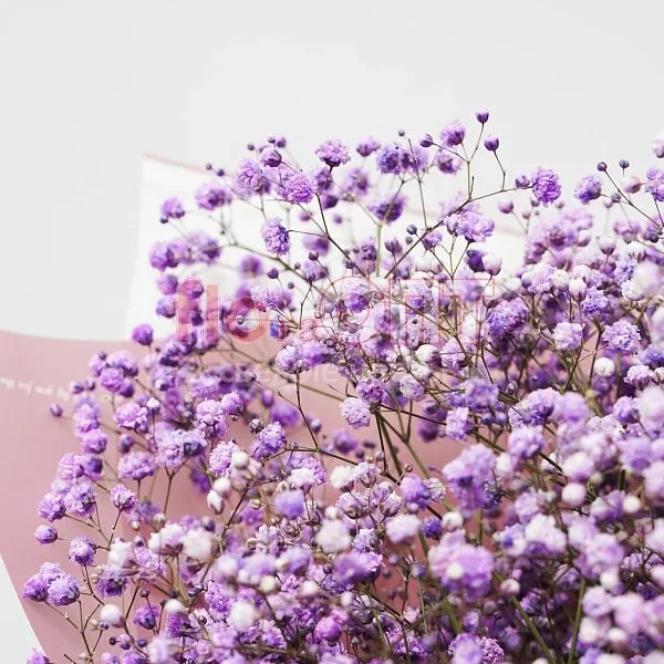 Букет 375 с крашеной гипсофилой  — фото 3