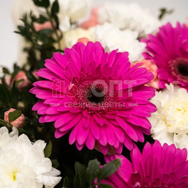 Коробка № 240 с розовыми герберами и кустовой гвоздикой  — фото 4