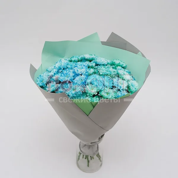 Букет № 122 из крашенной кустовой хризантемы  — фото 3