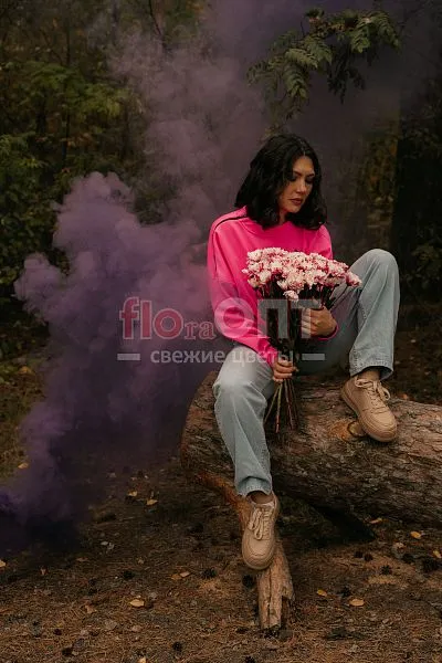 Хризантема крашеная Розовая — фото 1