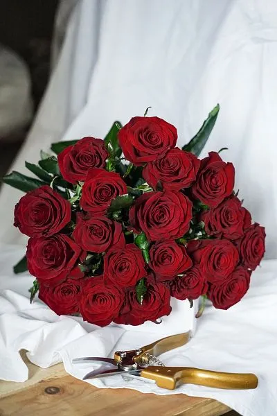 Букет № 555 из 19 красных роз  — фото 1