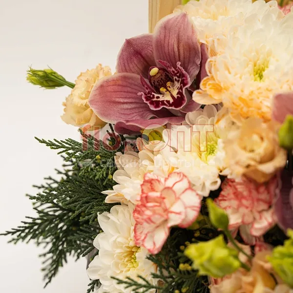 Композиция № 208 в ящике сборная с орхидеей  — фото 5