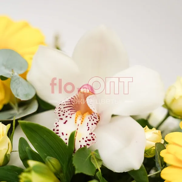 Композиция № 33 в бумажном пакете с желтыми герберами  — фото 5