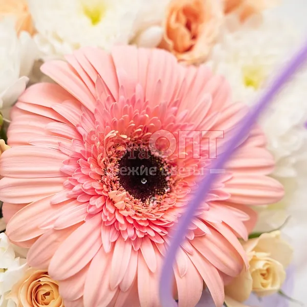 Композиция № 173 с розовой герберой и хризантемой — фото 2