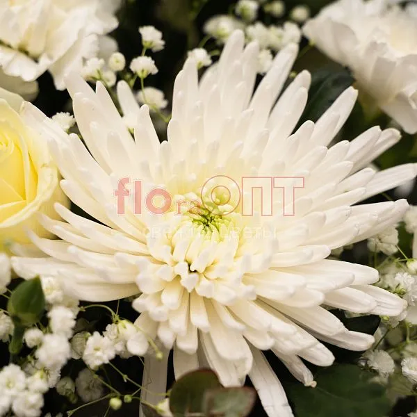 Коробка № 236 с белой одиночной хризантемой  — фото 3