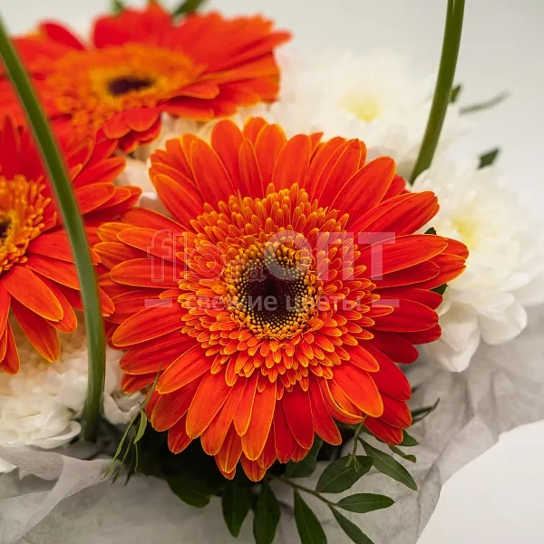 Композиция № 177 с оранжевыми герберами — фото 2