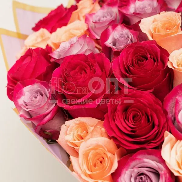 Букет № 550 из 75 эквадорских роз — фото 4
