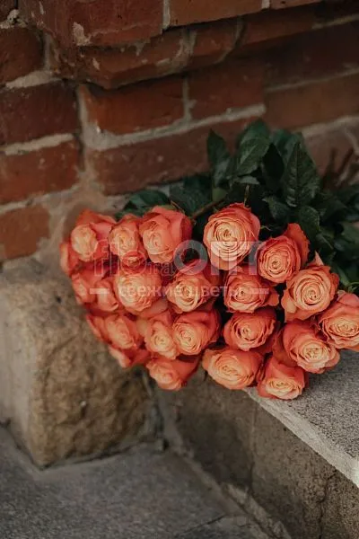 Роза Микс 60 см — фото 1