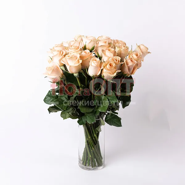 Роза Микс 60 см — фото 7