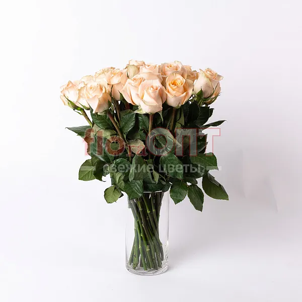 Роза Микс 60 см — фото 1