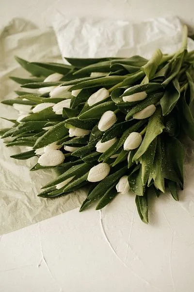 Тюльпан Селект — фото 1